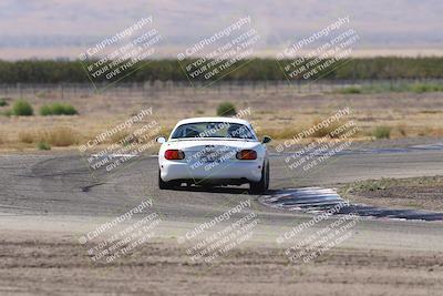 media/Oct-04-2025-OnGrid (Sat) [[44bd565ffa]]/Purple Group/Grapevine/